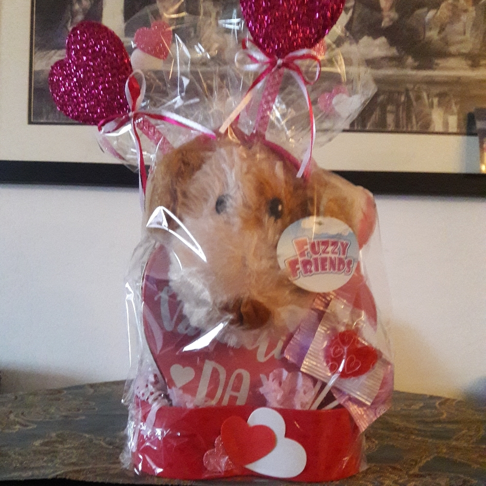 Valentine's Day puppy and candy gift